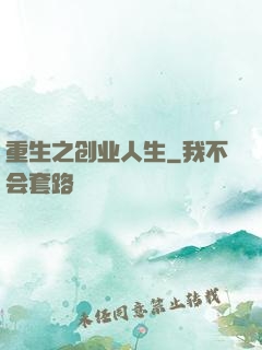 重生之创业人生