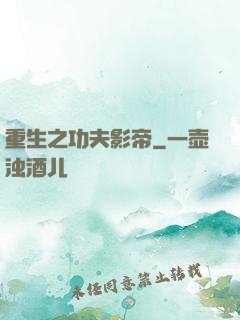 重生之功夫影帝