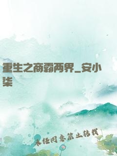 重生之商霸两界
