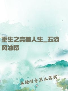 重生之完美人生
