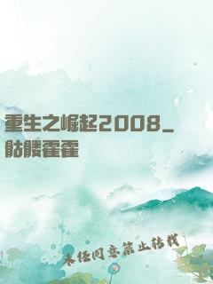 重生之崛起2008