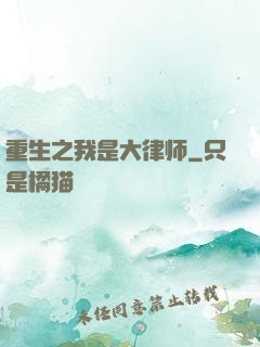 重生之我是大律师