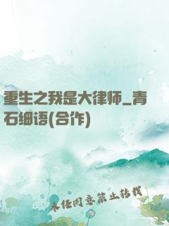 重生之我是大律师