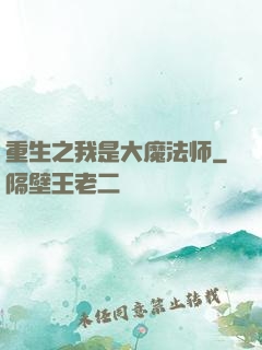 重生之我是大魔法师