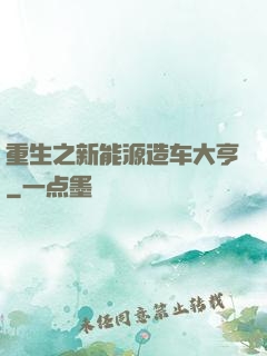 重生之新能源造车大亨
