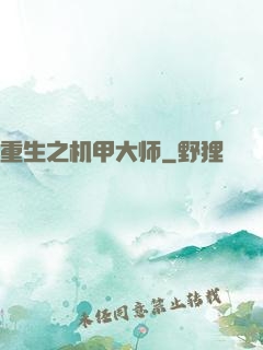 重生之机甲大师