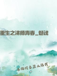 重生之沸腾青春