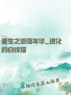 重生之激荡年华
