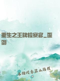重生之王牌检察官