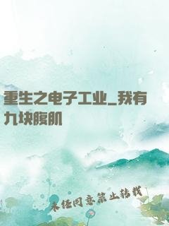 重生之电子工业
