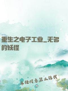 重生之电子工业