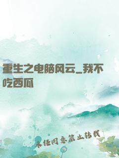 重生之电脑风云