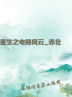 重生之电脑风云
