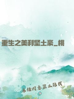 重生之美利坚土豪