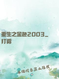 重生之金色2003