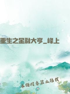 重生之金融大亨