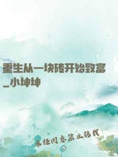 重生从一块砖开始致富