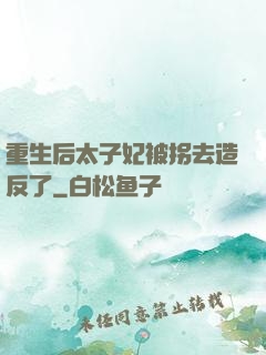 重生后太子妃被拐去造反了