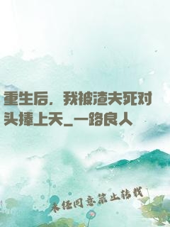 重生后，我被渣夫死对头捧上天
