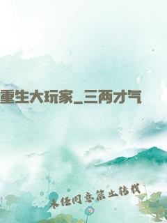重生大玩家