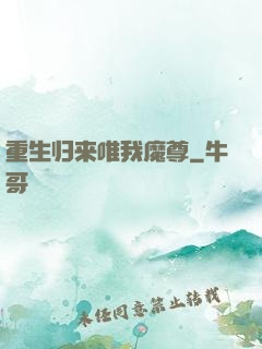 重生归来唯我魔尊