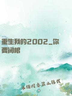 重生我的2002