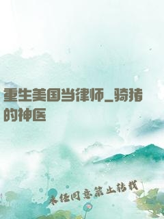 重生美国当律师