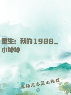 重生：我的1988