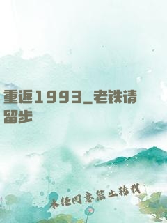 重返1993