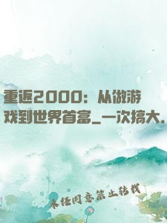 重返2000：从做游戏到世界首富