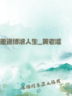 重返博浪人生