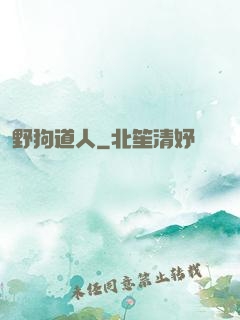 野狗道人