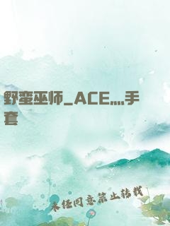 野蛮巫师