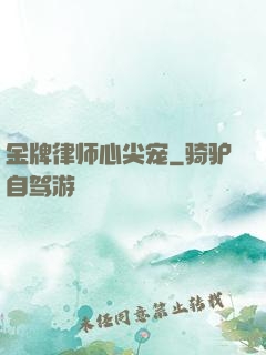 金牌律师心尖宠