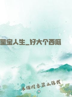 鉴宝人生