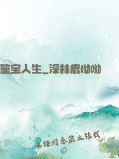 鉴宝人生