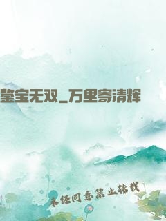 鉴宝无双