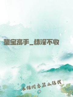 鉴宝高手