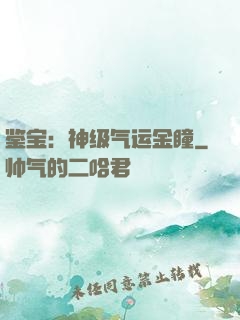 鉴宝：神级气运金瞳