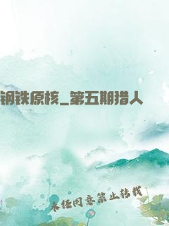 钢铁原核