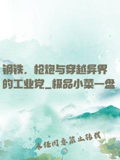 钢铁，枪炮与穿越异界的工业党