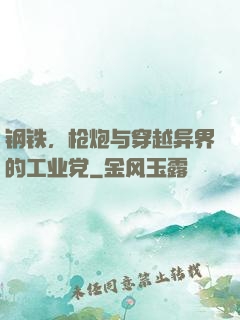 钢铁，枪炮与穿越异界的工业党