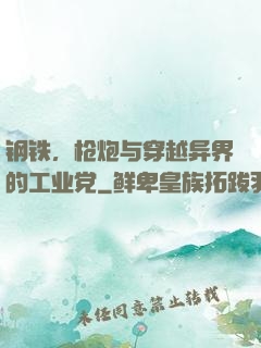钢铁，枪炮与穿越异界的工业党