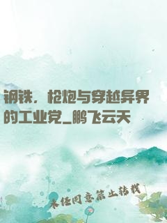 钢铁，枪炮与穿越异界的工业党