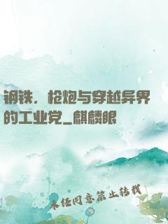 钢铁，枪炮与穿越异界的工业党