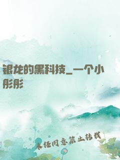 银龙的黑科技