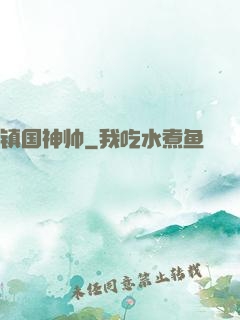 镇国神帅