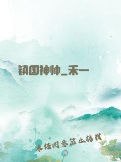 镇国神帅