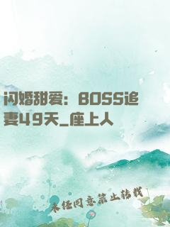 闪婚甜爱：BOSS追妻49天