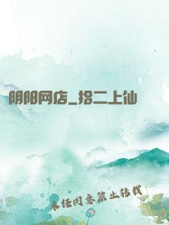 阴阳网店